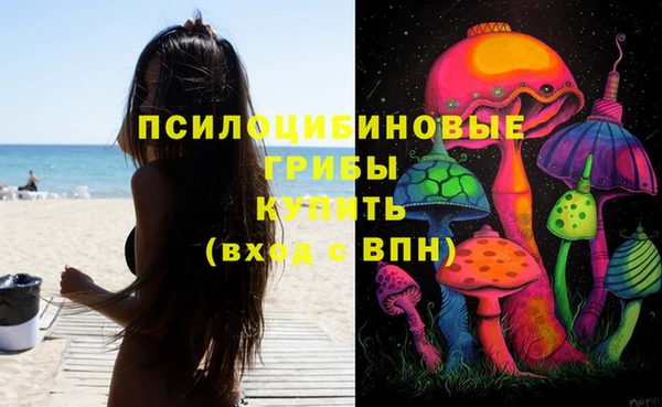 МДМА Гвардейск