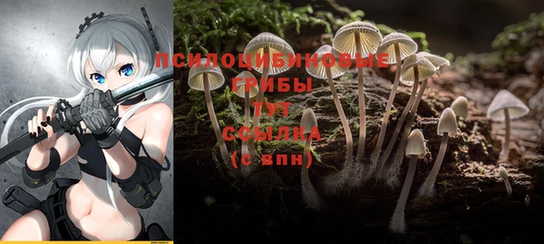 mix Осташков