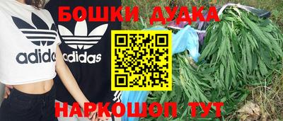 молекула духа Заводоуковск
