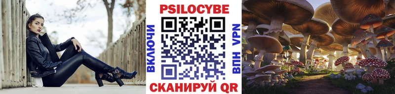 гидра ссылки Моздок Псилоцибиновые грибы MAGIC MUSHROOMS дарнет шоп