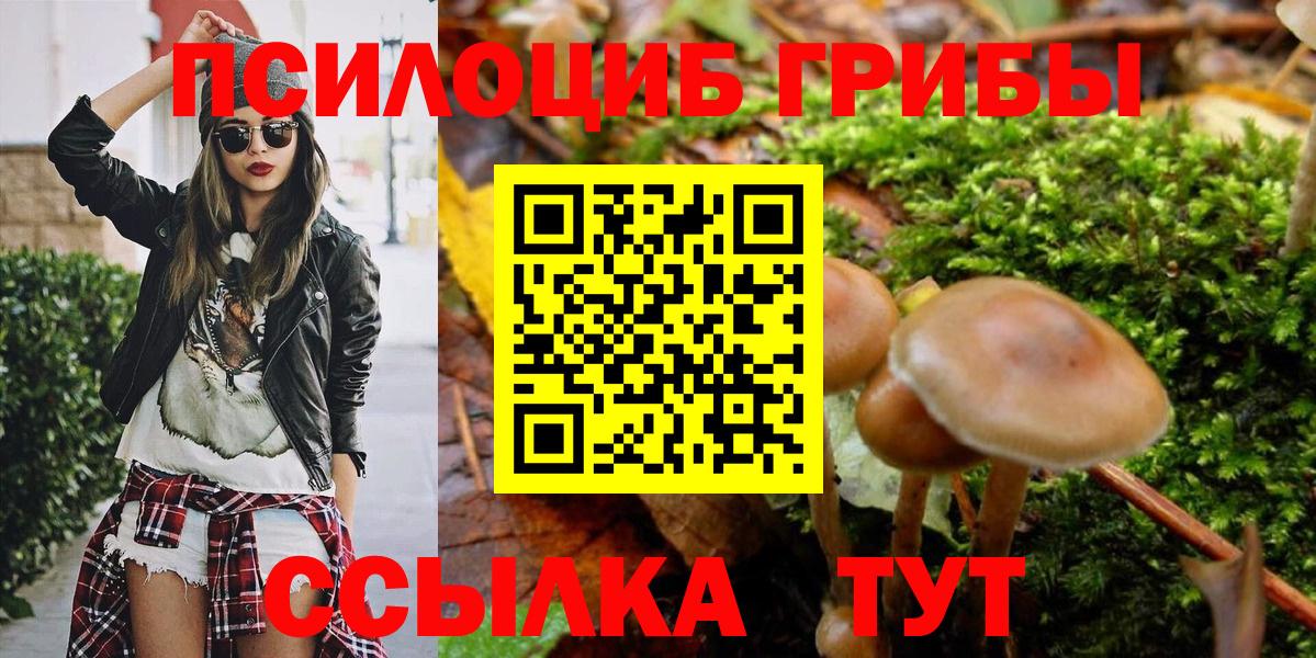 Галлюциногенные грибы мицелий  Галлюциногенные грибы прущие грибы  Вход с VPN  Моздок 