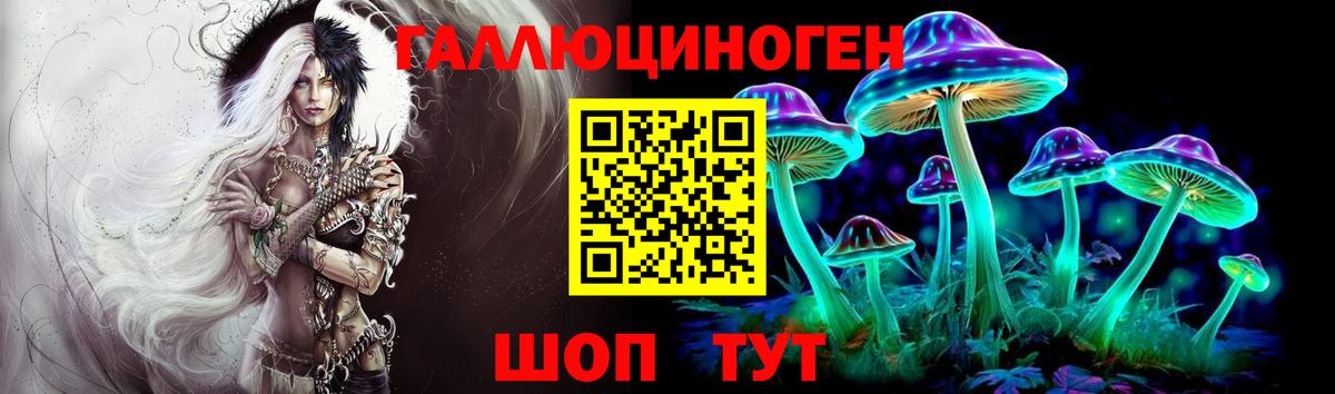 Псилоцибиновые грибы Psilocybe Моздок